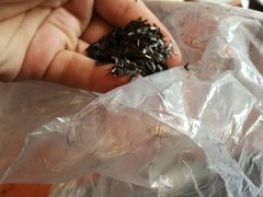 Фотография Углеродная фибра FibARM Fiber С 3 мм, кадр 3 из 7